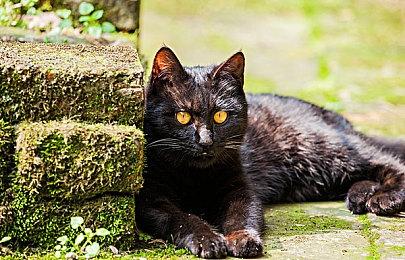 《使命召唤：战区》将会削弱作弊者武器伤害